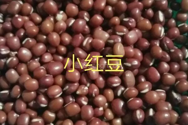 营养粥早餐的做法图解1