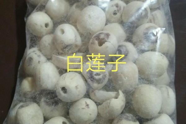 营养粥早餐的做法图解3
