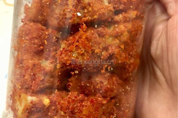 自制豆腐乳的做法图解16
