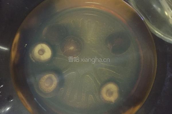 自制豆腐乳的做法图解20