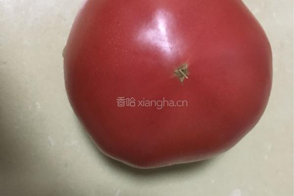 西红柿鸡蛋饼的做法图解1