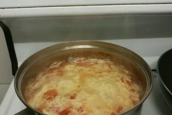 tomato eggs soup 番茄鸡蛋汤的做法图解4