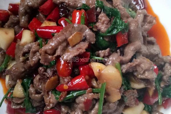 香辣牛肉的做法图解4