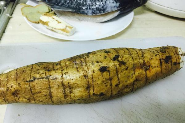 粉葛赤小豆鲮鱼汤的做法图解3