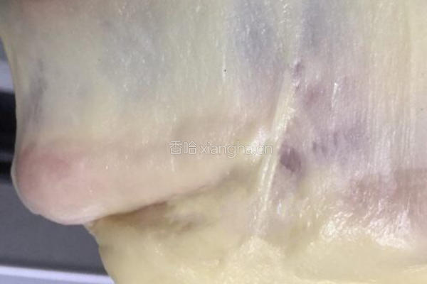 ~逼真豆沙毛毛虫的做法图解5