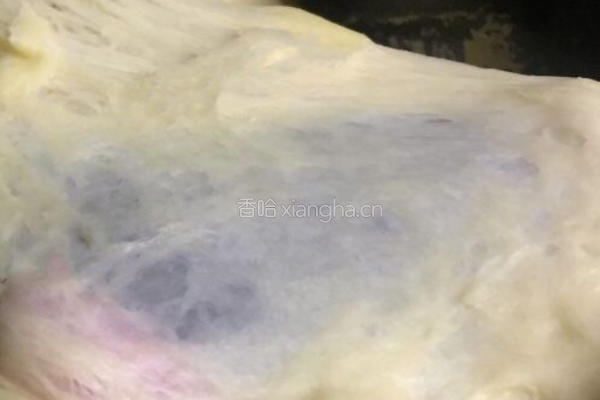 私人定制蛋蓉花苞的做法图解5