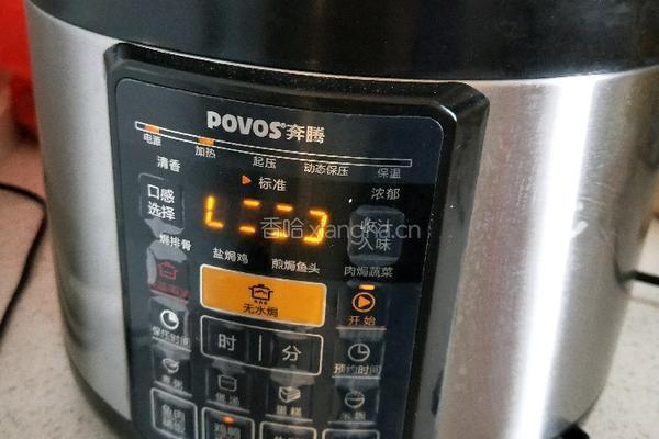 大鹅炖土豆的做法图解5