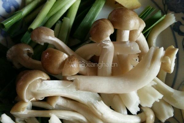 蘑菇花鲢鱼头汤的做法图解2