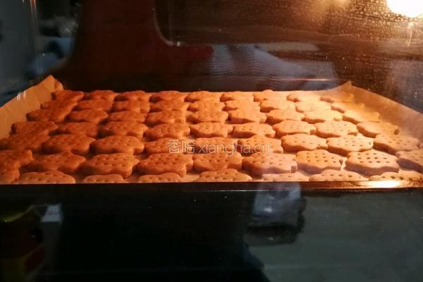 黑麦全麦粉猴菇饼干的做法图解6