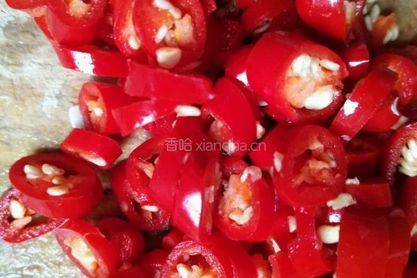 凉拌青瓜的做法图解4