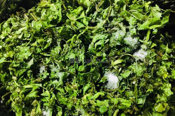 荠菜饺子的做法图解2