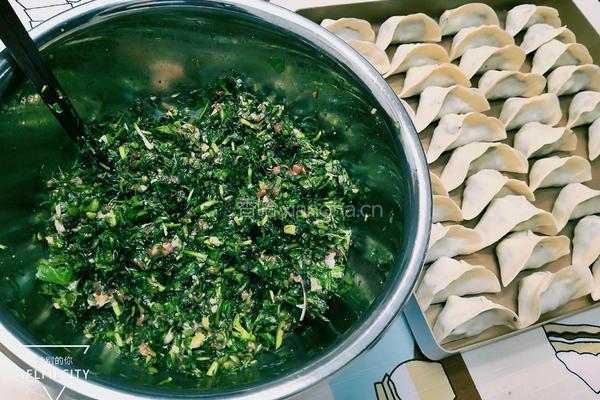 荠菜饺子的做法图解15