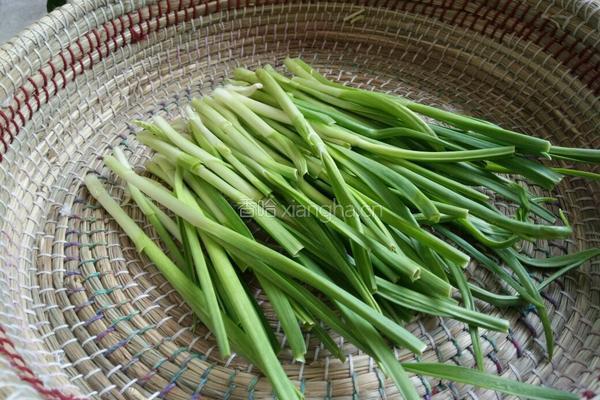 香辣青蒜苗炒豆腐的做法图解2