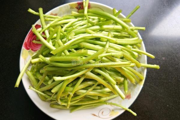 春的气息 凉拌泥蒿的做法图解2