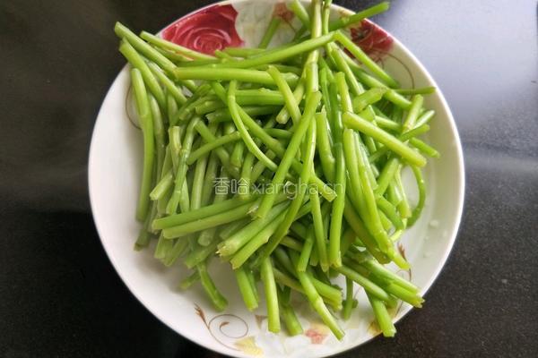 春的气息 凉拌泥蒿的做法图解7