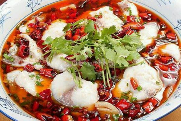 麻辣水煮鱼片的做法图解6