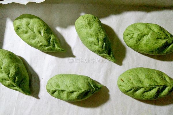 绿叶豆沙包的做法图解14
