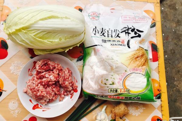 自制包子的做法图解1