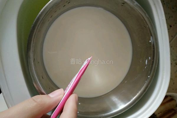 果味奶昔的做法图解1