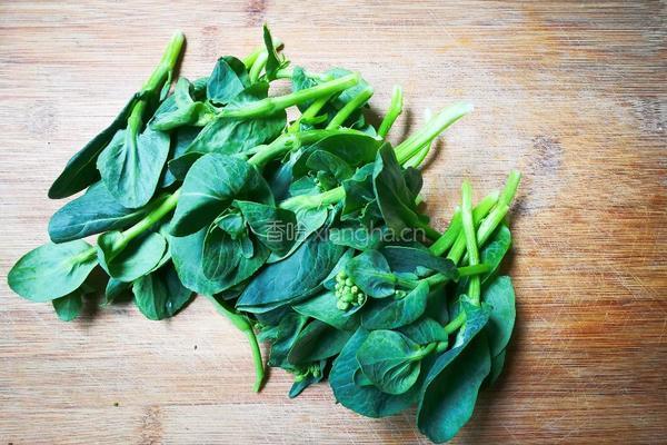 香菇菜心的做法图解1