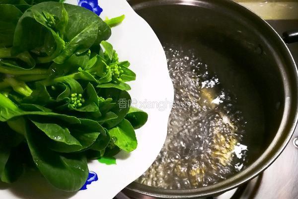 香菇菜心的做法图解8