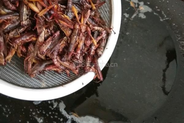 油炸蚂蚱的做法图解8