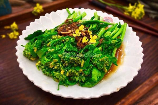 ~蚝油蒜泥田野油菜花的做法图解16