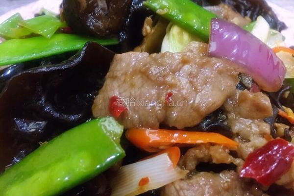 泡椒三色木耳肉片的做法图解20
