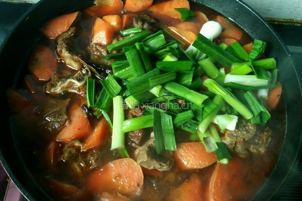 胡萝卜炖羊肉的做法图解20