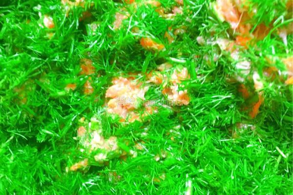 茴香猪肉水饺的做法图解8