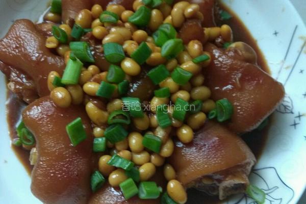黄豆炖猪蹄的做法图解7