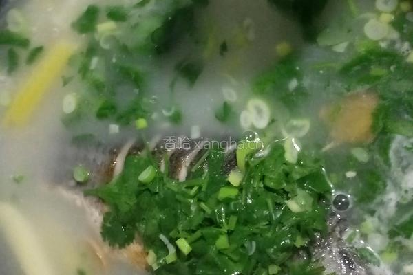 鲫鱼汤的做法图解7