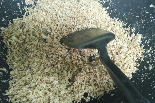 自制鸡肉松的做法图解9
