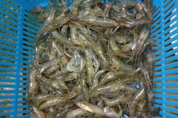 韮菜炒河虾的做法图解1