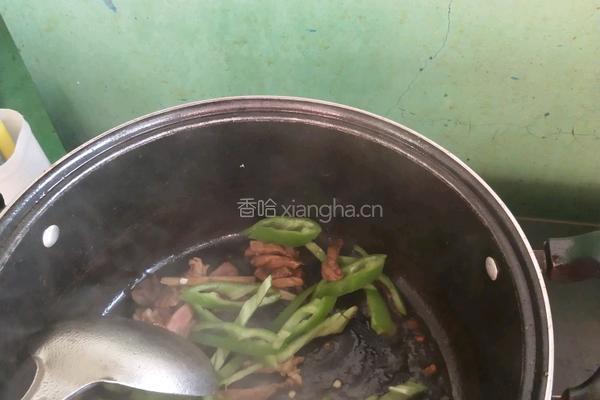 尖椒肉丝浇盖饭的做法图解3