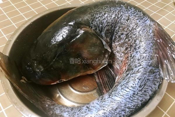 铁锅水库鱼的做法图解1