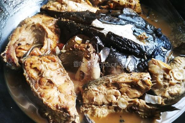 铁锅水库鱼的做法图解4