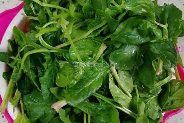 香脆美味菠菜饼的做法图解1