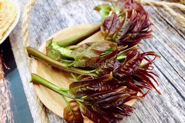 椿芽烘鹅蛋的做法图解1