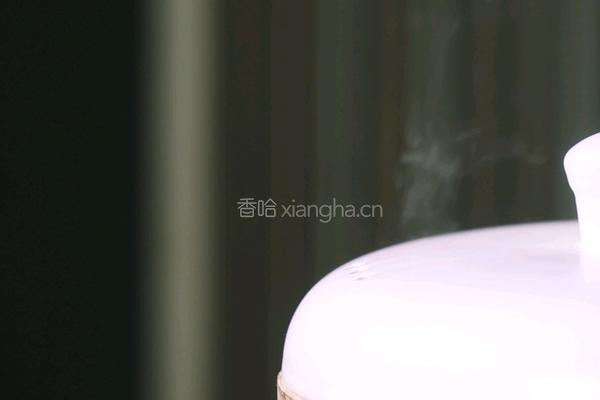 用时光交换的蜜炙火方的做法图解5