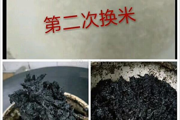 古法熬制补血圣品玉灵膏的做法图解4