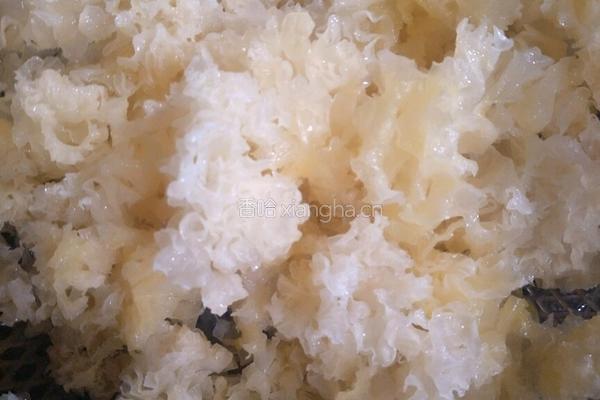 雪耳鸡旦糖水的做法图解4