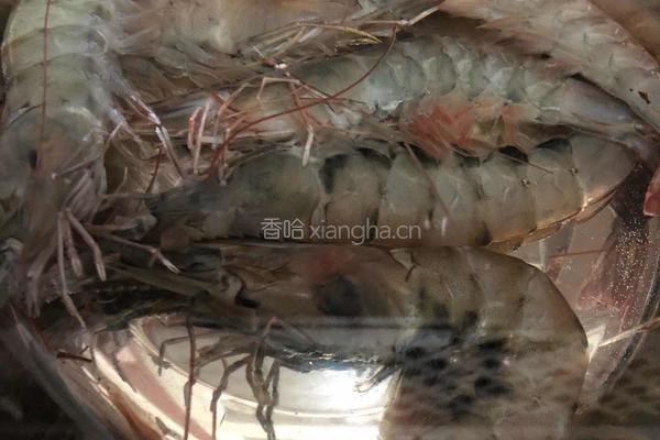 白鱼海虾粥的做法图解4