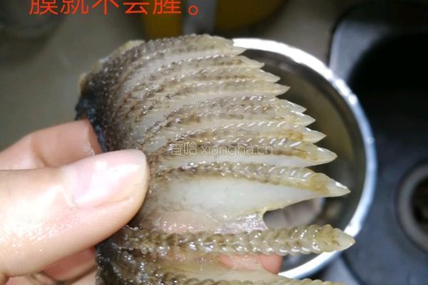 膨鱼鳃无花果炖瘦肉的做法图解3