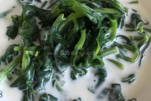 酸奶拌穿心莲的做法图解4