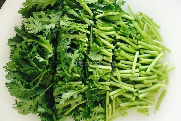蒜蓉茼蒿的做法图解1