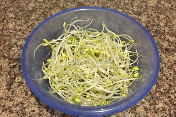 黄豆芽蒜苗炒鸡蛋的做法图解1