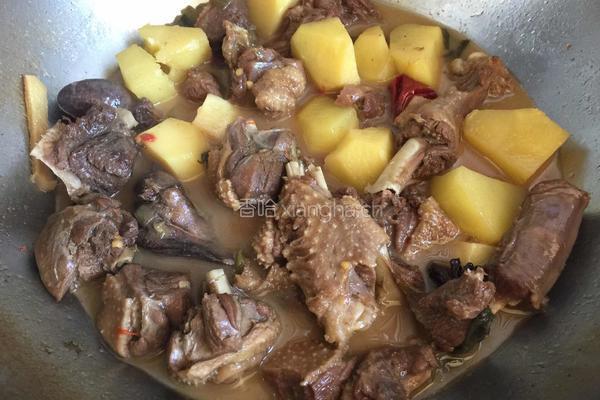 大鹅炖土豆的做法图解13