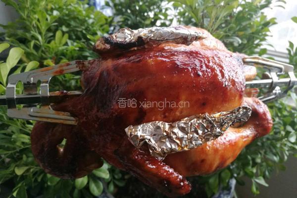 奥尔良烤鸡的做法图解9