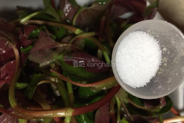 春季野菜~凉拌折耳根（叶）的做法图解6